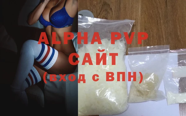 гашик Дмитриев