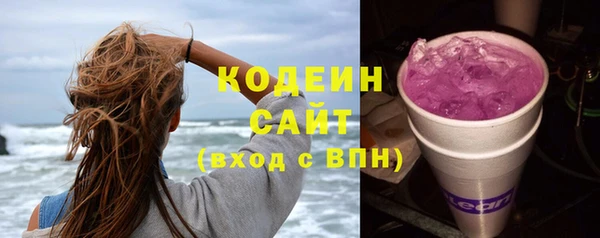 гашик Дмитриев