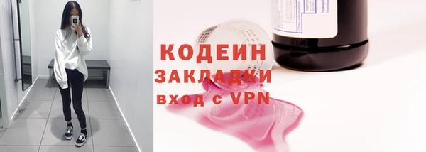 гашик Дмитриев
