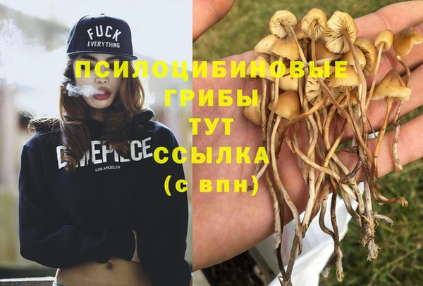 гашик Дмитриев