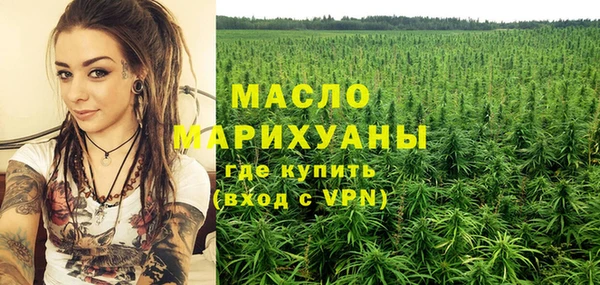 гашик Дмитриев