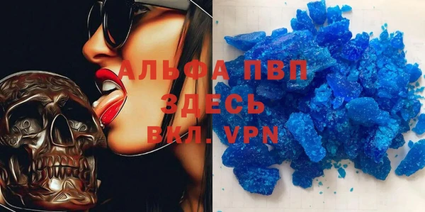 гашик Дмитриев