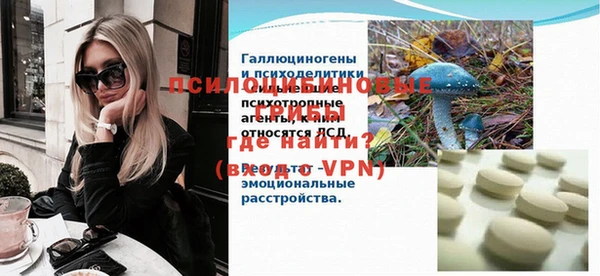 гашик Дмитриев