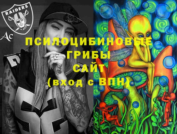 бошки Дмитровск