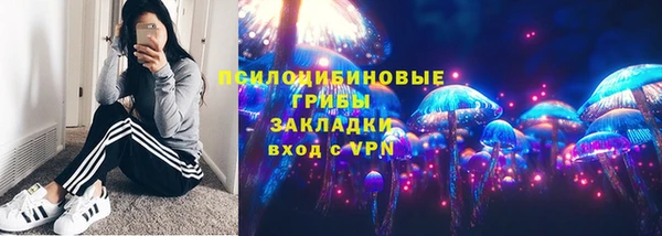 прущие крисы Дмитров